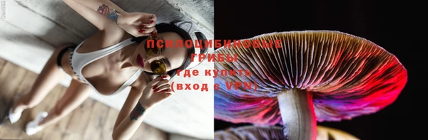 спайс Баксан