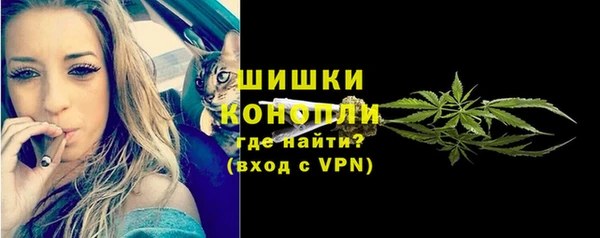 спайс Баксан