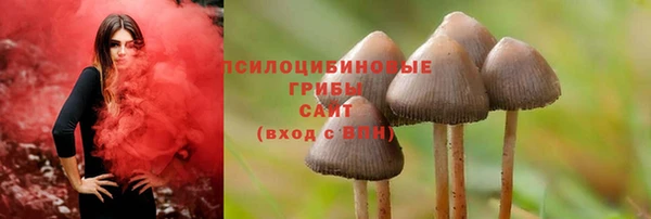 трава Балахна