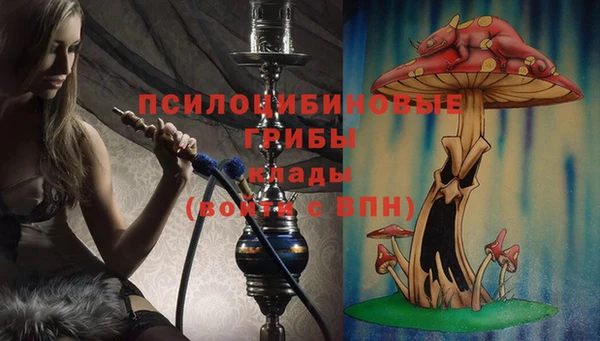 трава Балахна