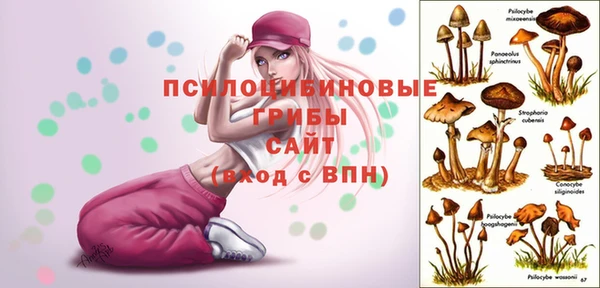 трава Балахна