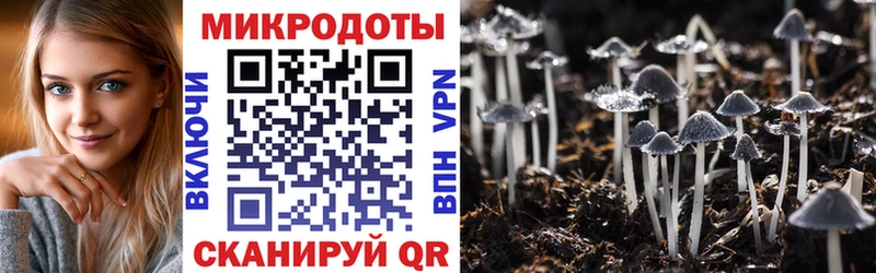 блэк спрут рабочий сайт  Калуга  Галлюциногенные грибы Psilocybine cubensis 