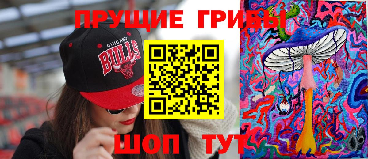 Калуга  Псилоцибиновые грибы Cubensis  Вход с VPN 